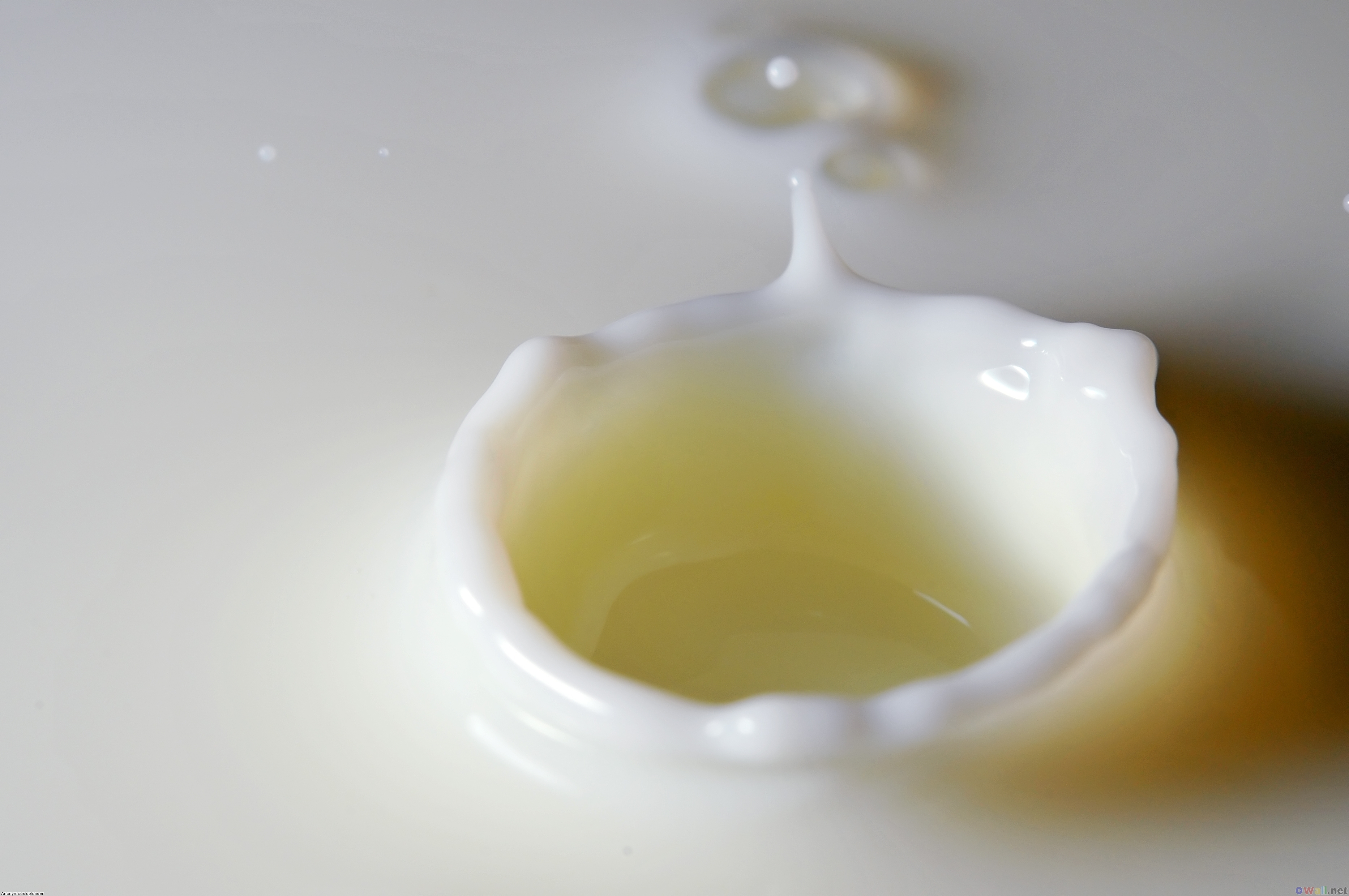 Welke factoren bepalen het melkvetgehalte?